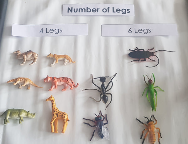 Animal Classification - Number of Legs 