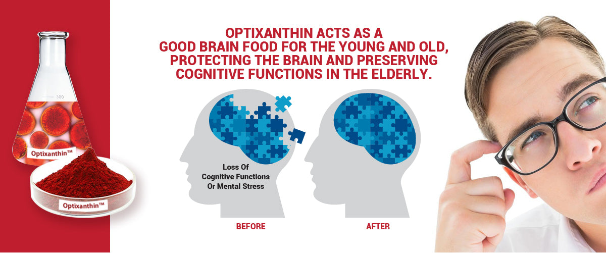 Optixanthin Astaxanthin acts as a good brain food for the young and old, protecting the brain and preserving cognitive functions in the elderly