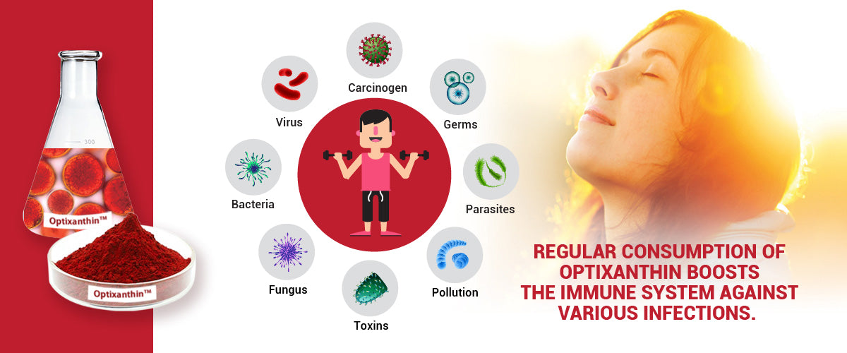 Regular consumption of Optixanthin Astaxanthin boosts the immune system against various infections