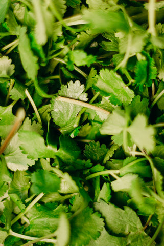 green herb