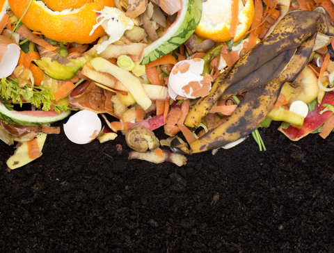 food breakdown into compost