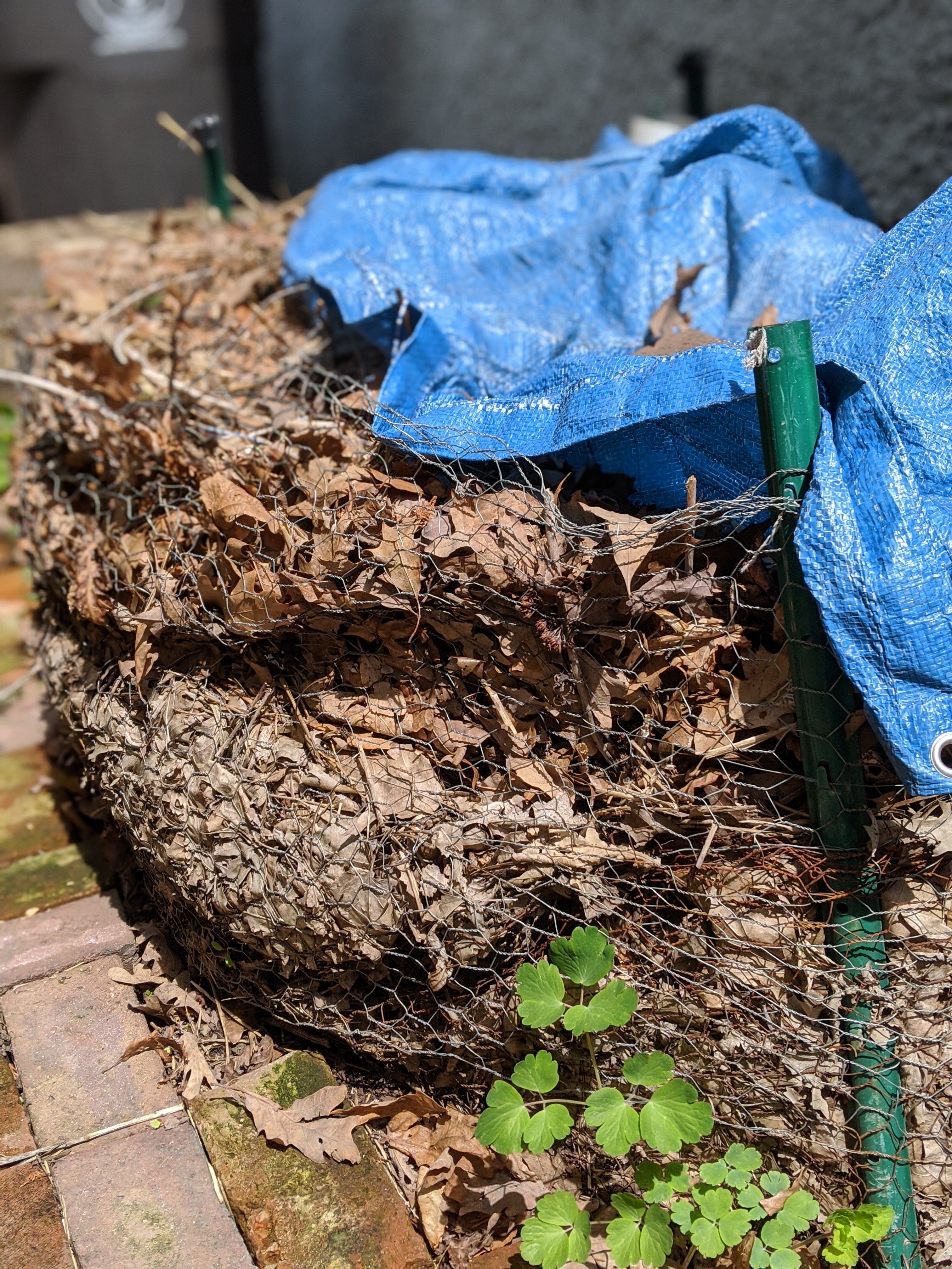 static pile composting with minimal effort