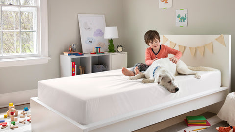 child and dog on the bed