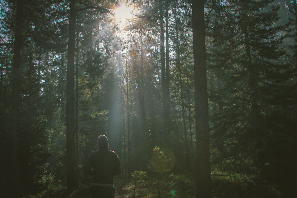 a man enjoying the view in the woods