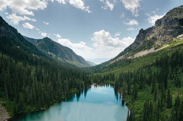 tree-lined valley and lake