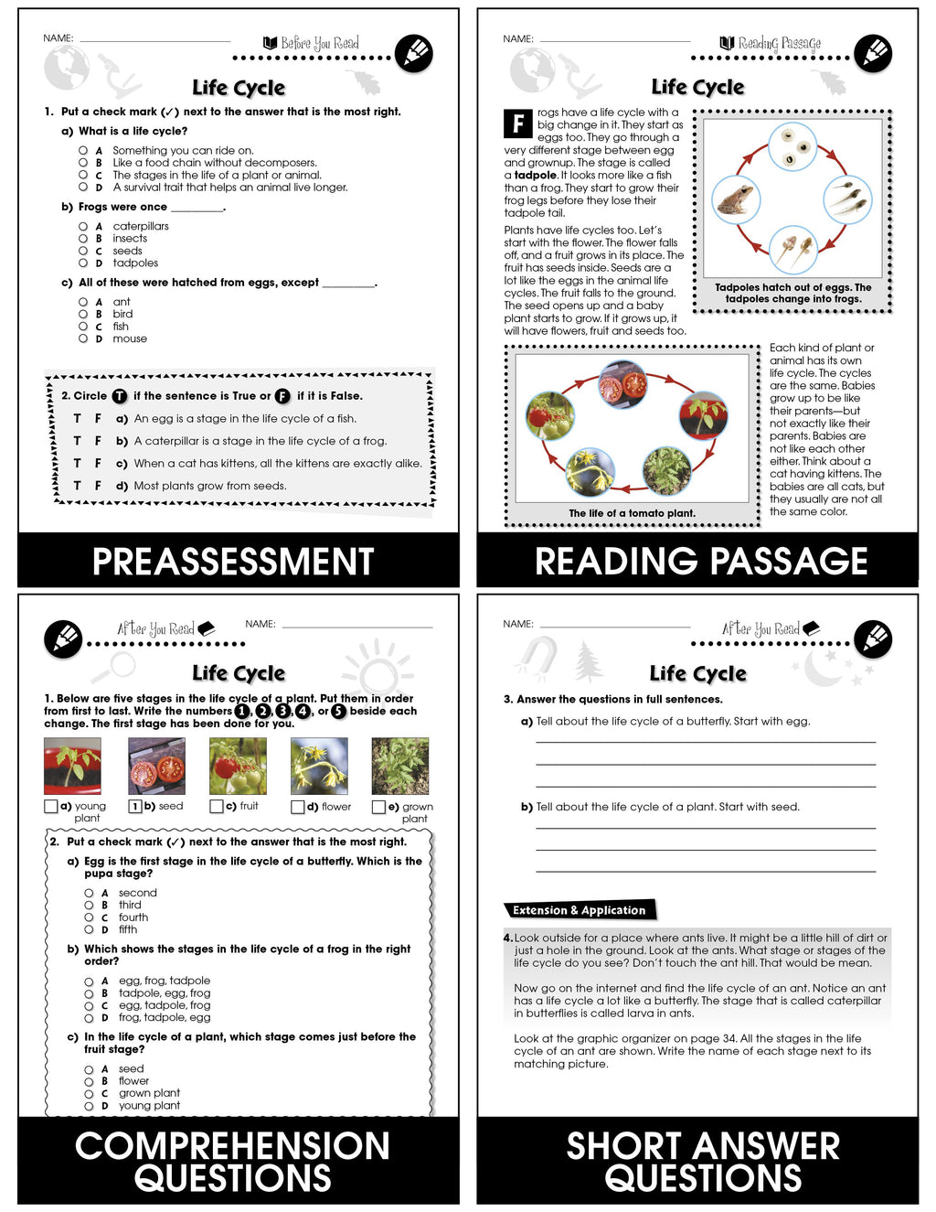 Hands On Life Cycle Activities For Second