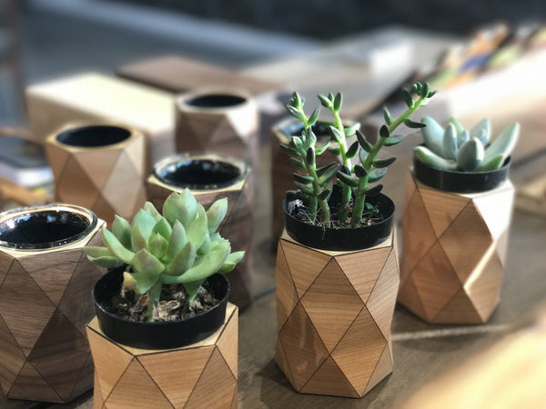 Kerf Vessel Succulent Planter