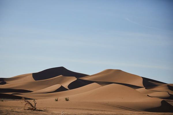 Kantara Tours camel trek to luxury camp next to Erg Chigaga outside of M'hamid al Ghizlane in Morocco
