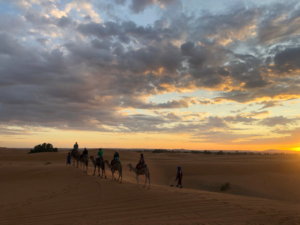 Sunset and camel ride in the Sahara Desert on Kantara Tours 12 day trip throughout Morocco 