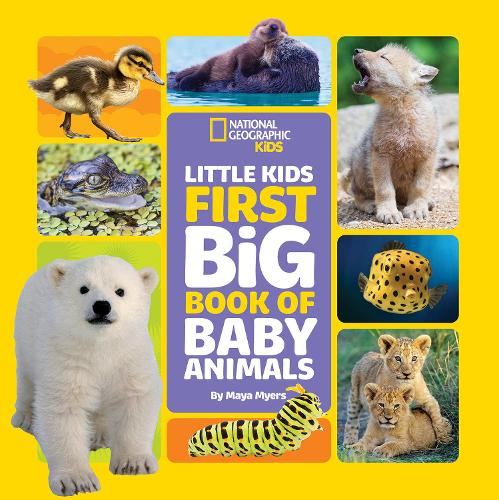 Little Kids First Big Book of Baby Animals (Little Kids First Big Book –  Bookazine