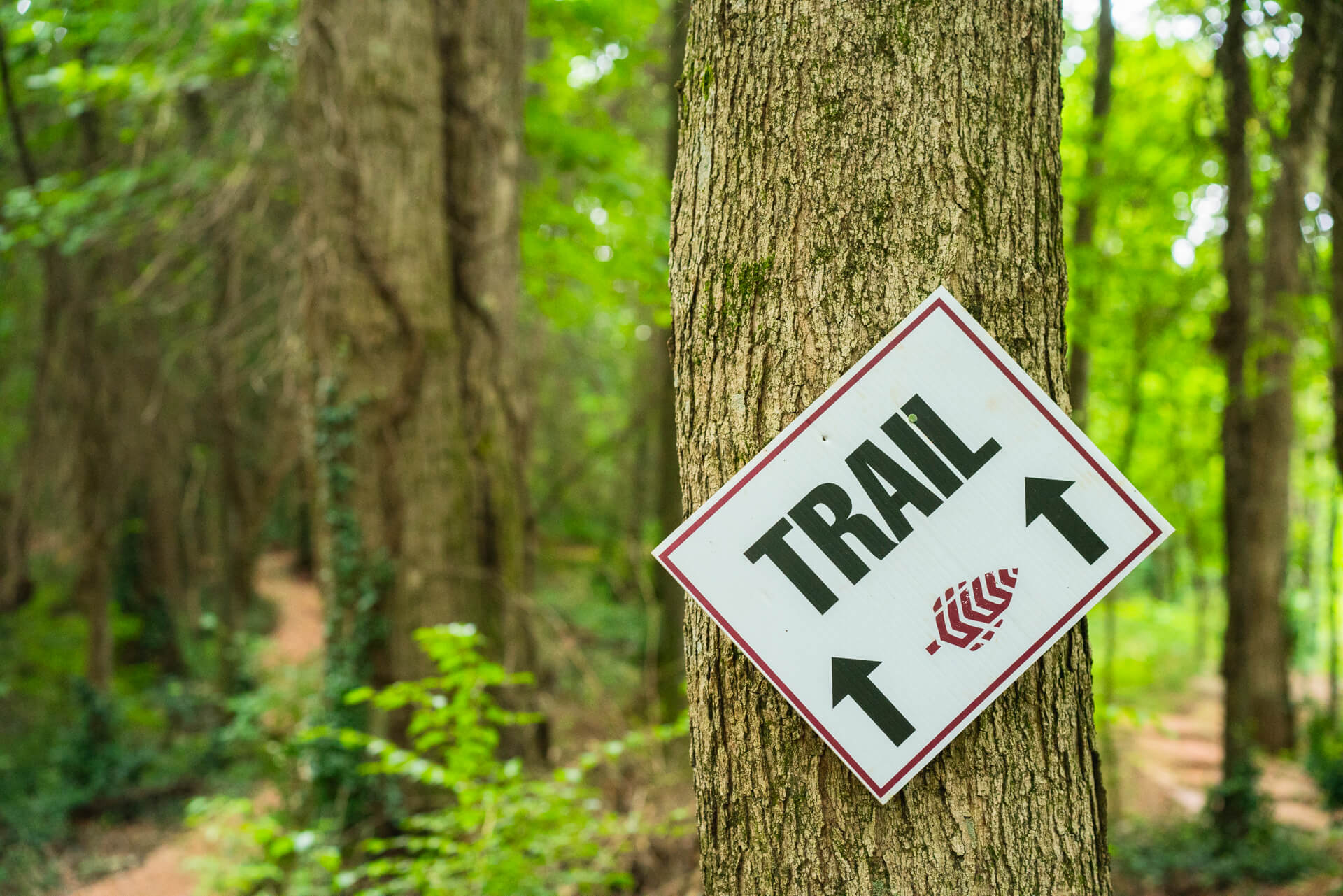 Trail signs on a mountain bike trail 