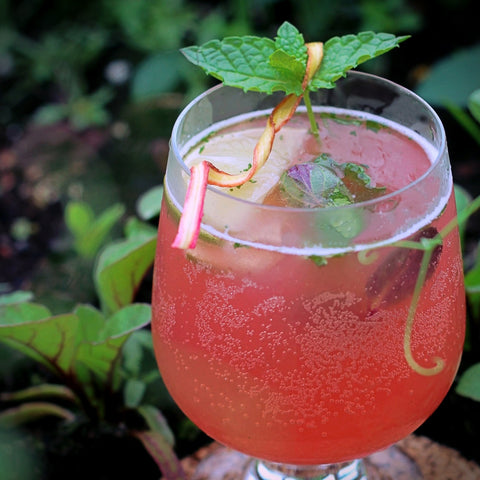 Heirloom Rhubarb Fizz with Silver Swallow Luxury Kombucha