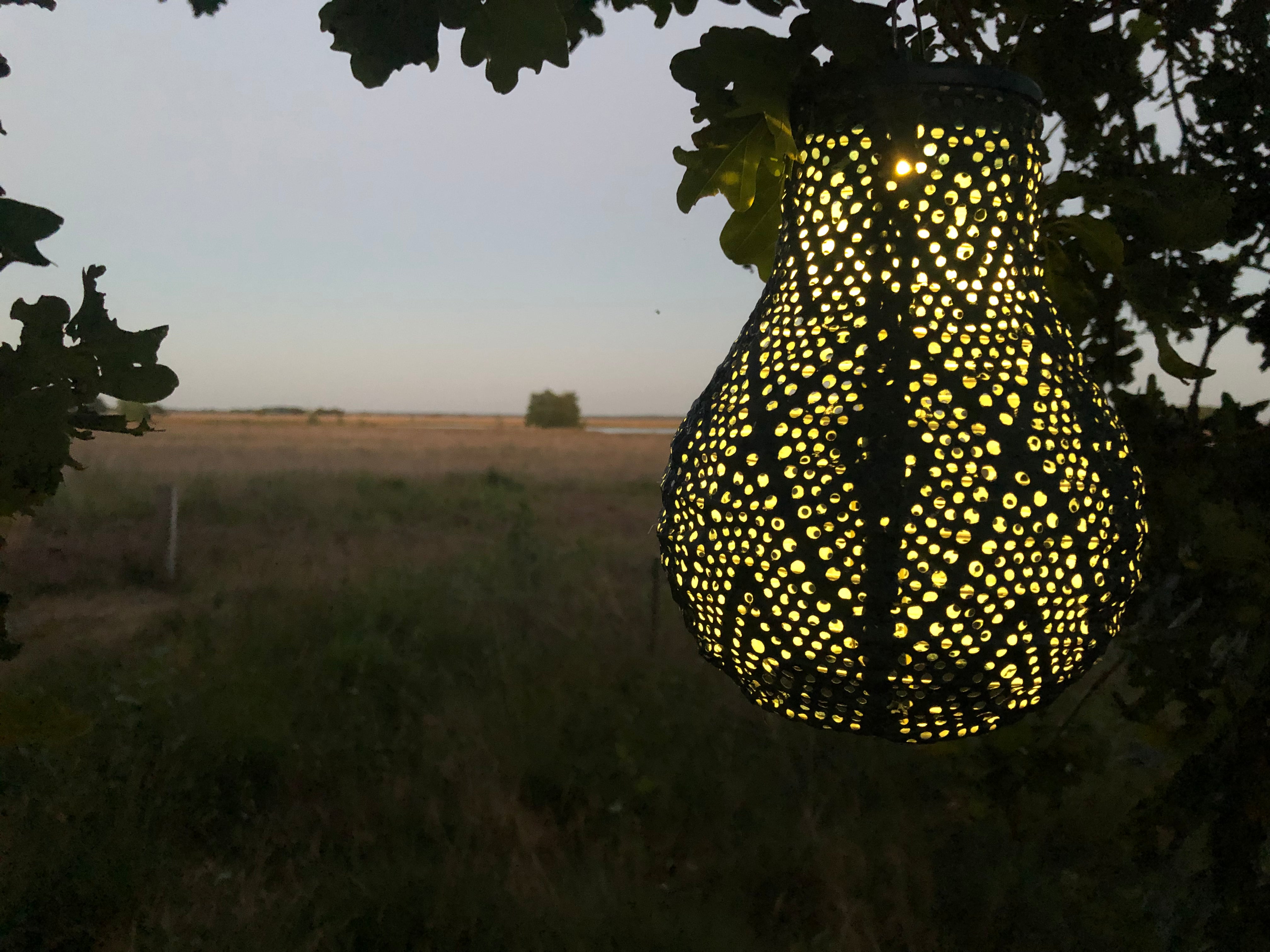 Lumiz Lampion Bulb 16 Petrol