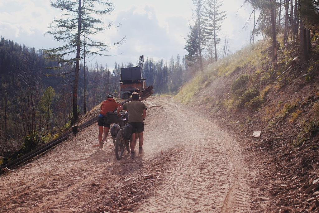 logging roads idaho bike packing