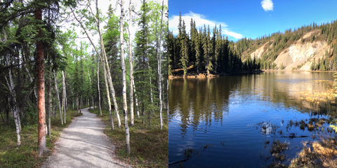 Denali National Park Trails