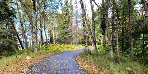 Kincaid Park Trails