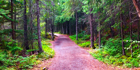 Russian Lakes Trail