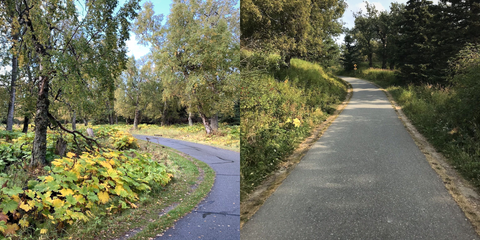 Tony Knowles Coastal Path