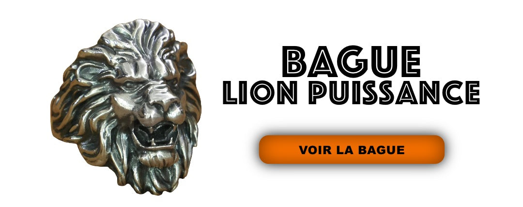 Bague Lion Homme Puissance en Argent