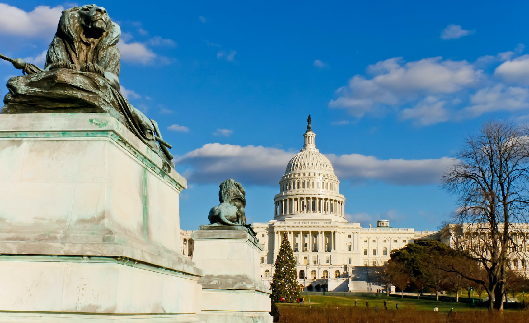 Statues en forme de Lion à Washington