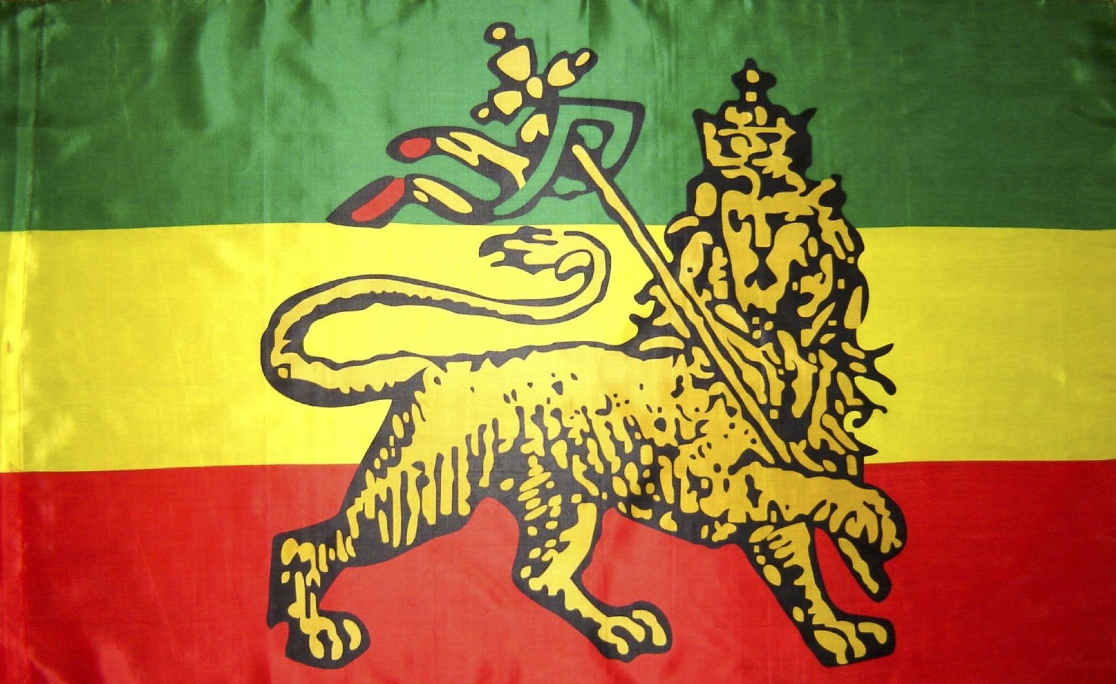 Drapeau du peuple rasta avec un Lion