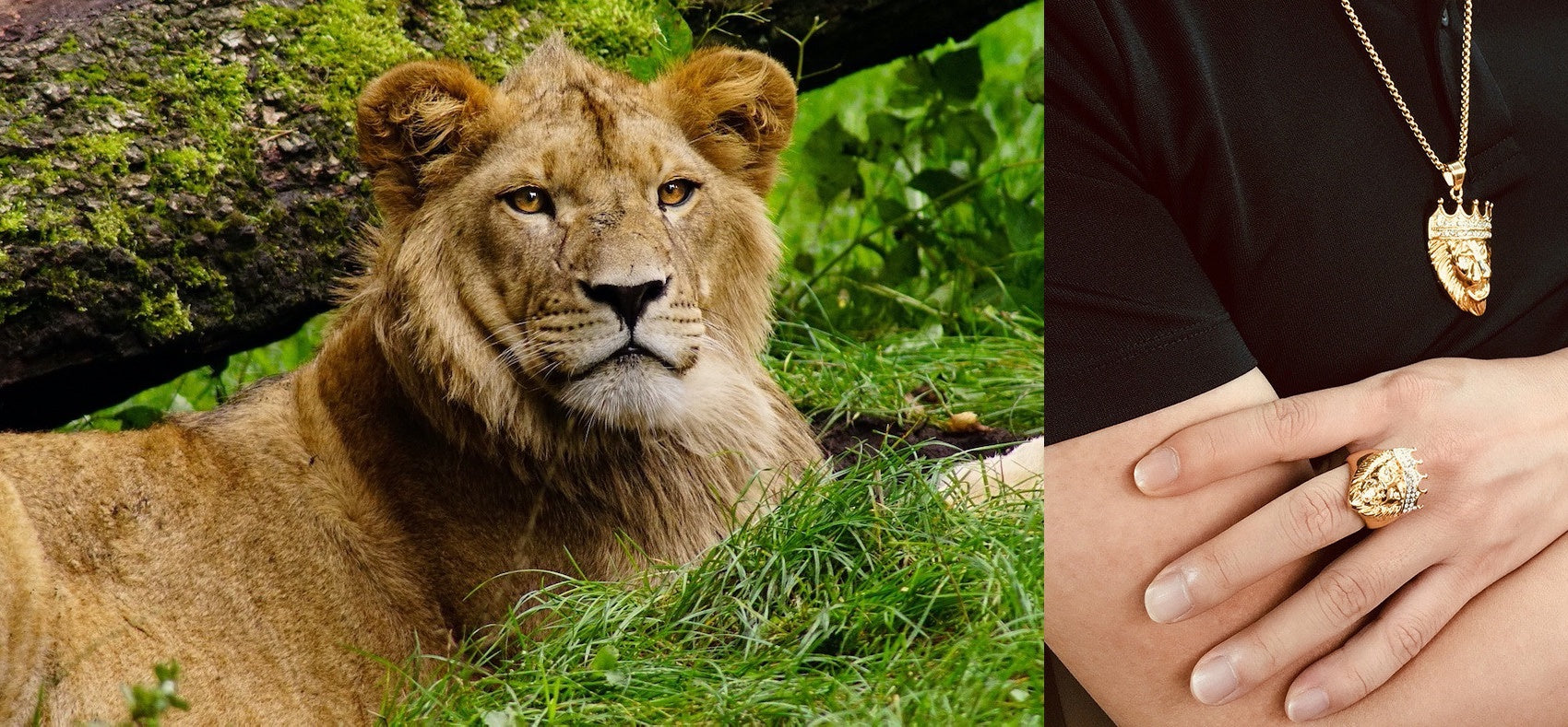 Montage de Lion avec Bague Tête de Lion