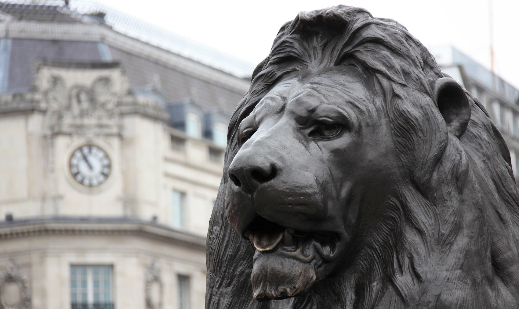 Statue Tête de Lion en France