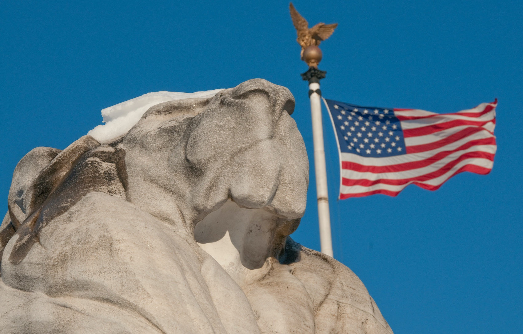Statue de Lion à Washington