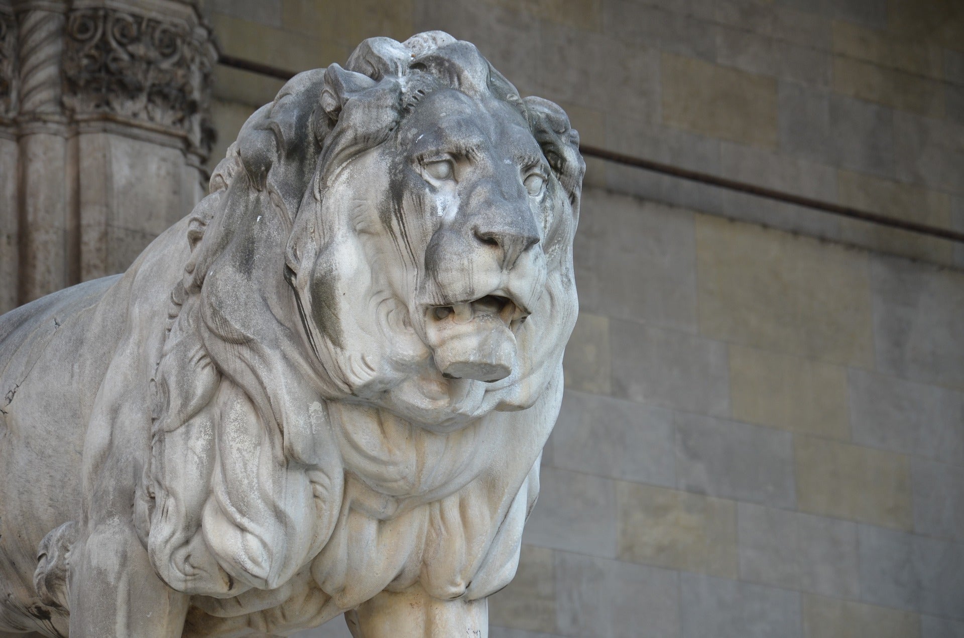 Statue Lion entier en pierre 