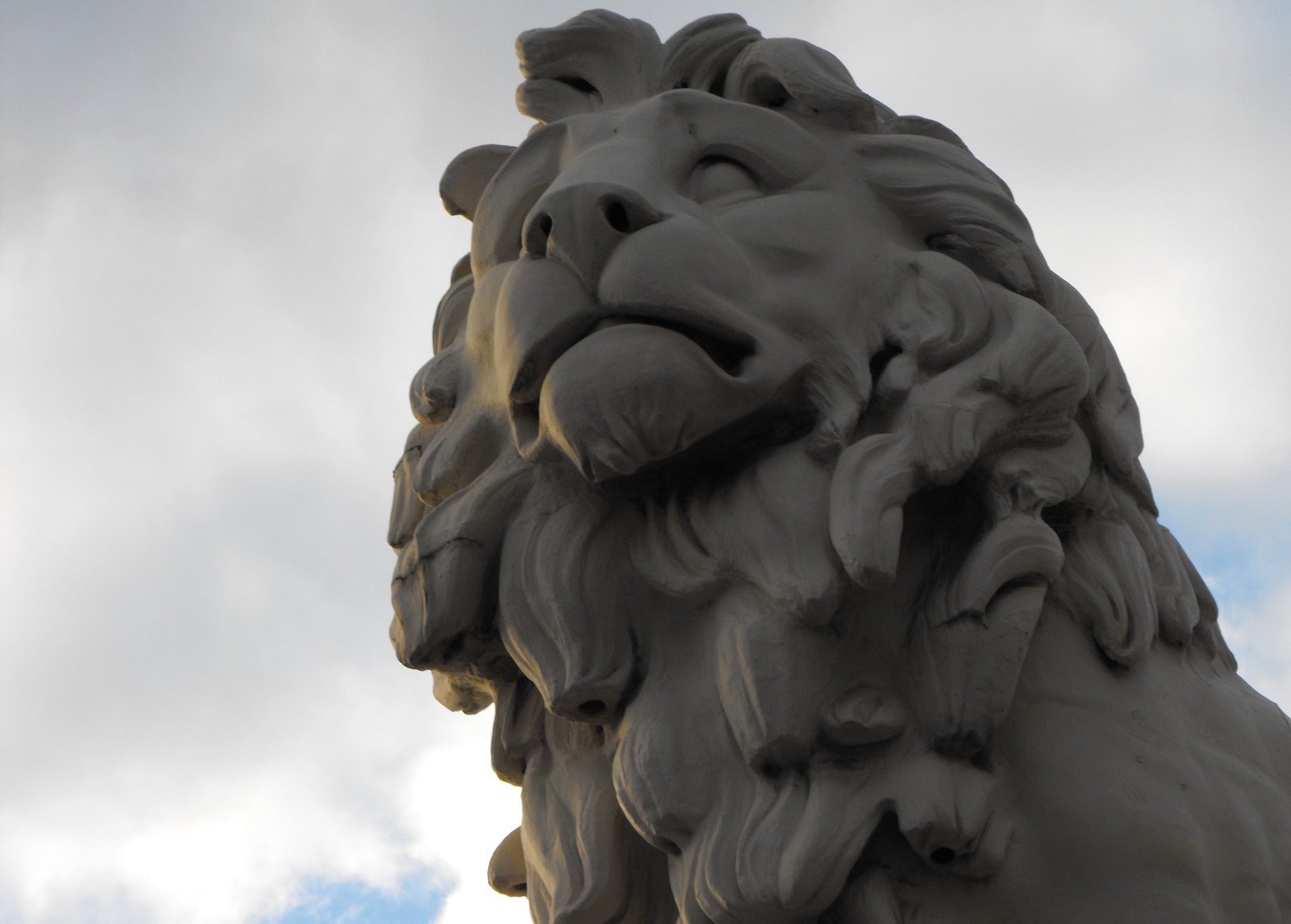 Statue Tête de Lion dans un musée