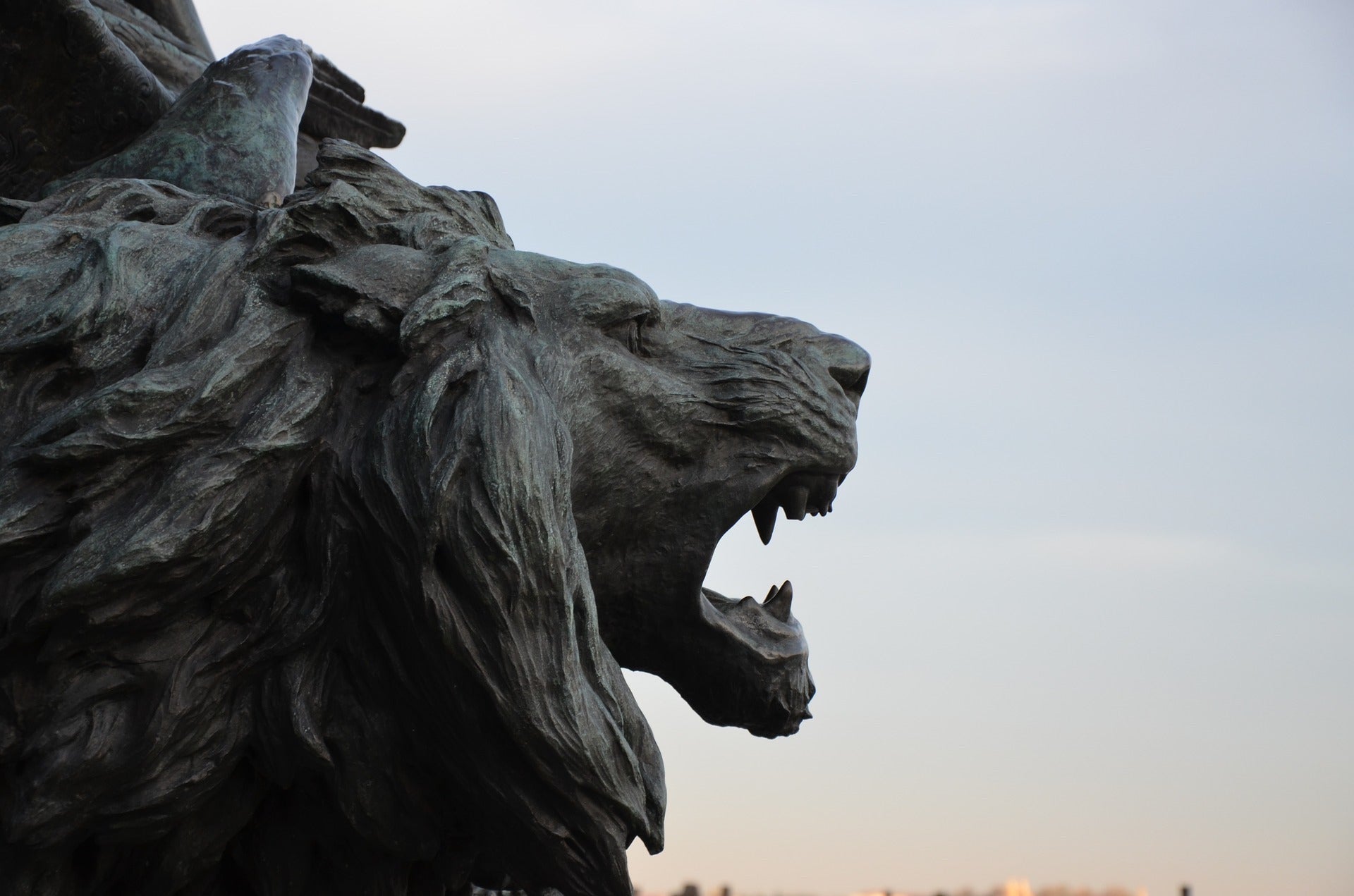 Statue Tête de Lion en granit