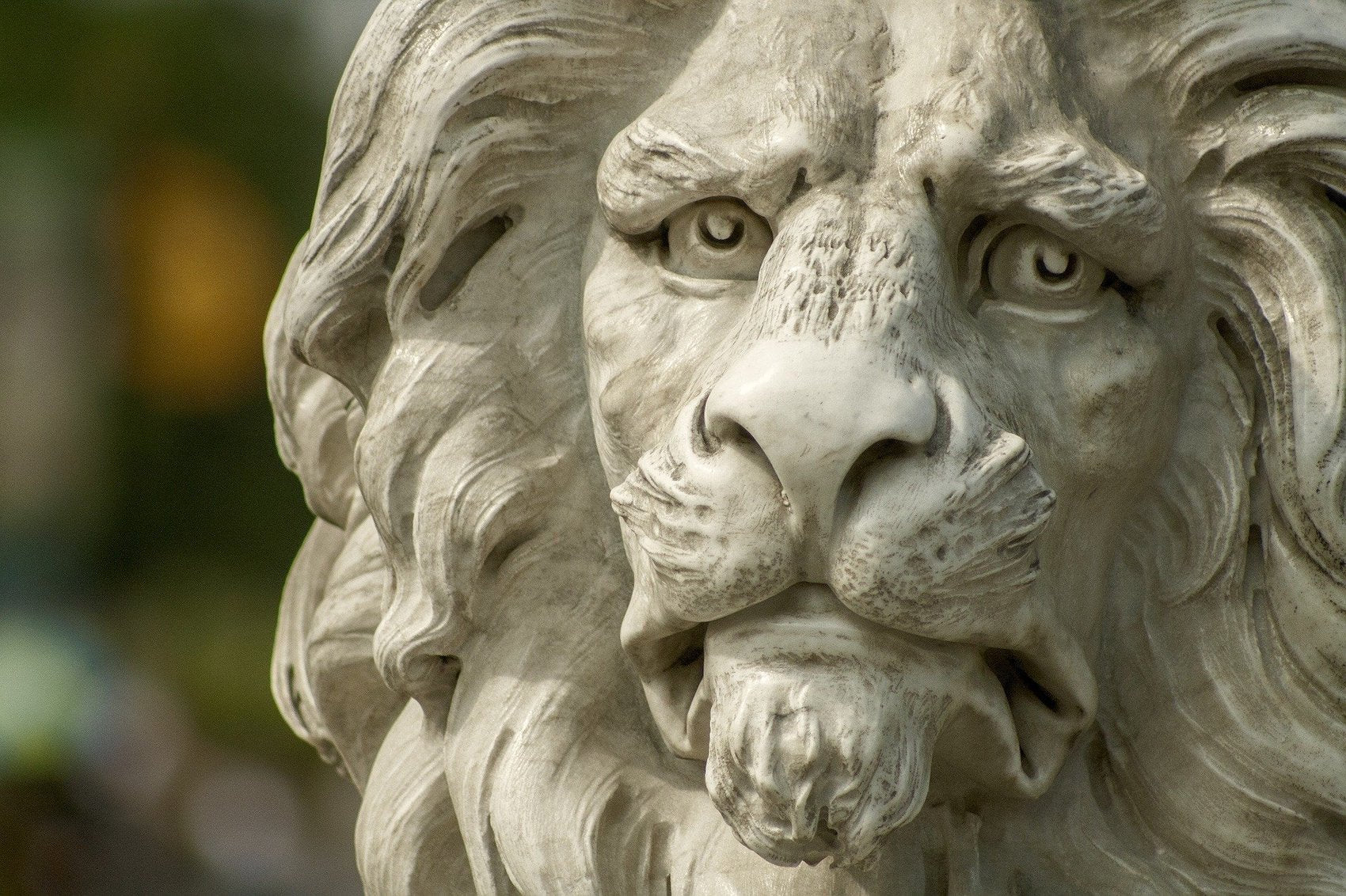 Tête de Lion sculptée dans le marbre