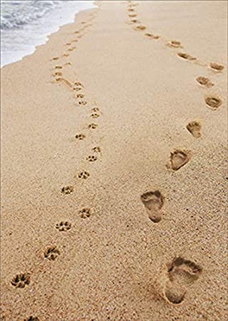 what does a dog footprint look like