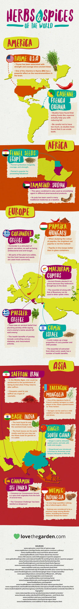 Herbs and Spices Infographic 