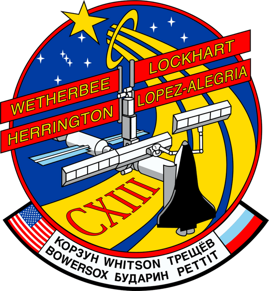 Badge NASA STS-113