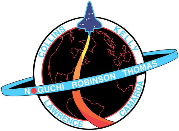 Badge NASA STS-114