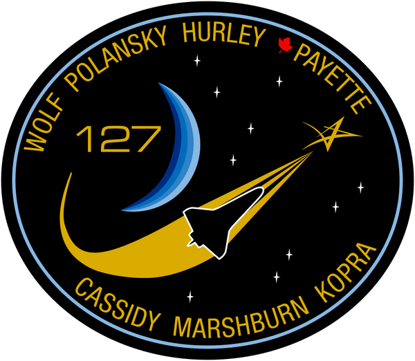 Badge NASA STS-127