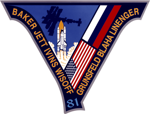 Badge NASA STS-81