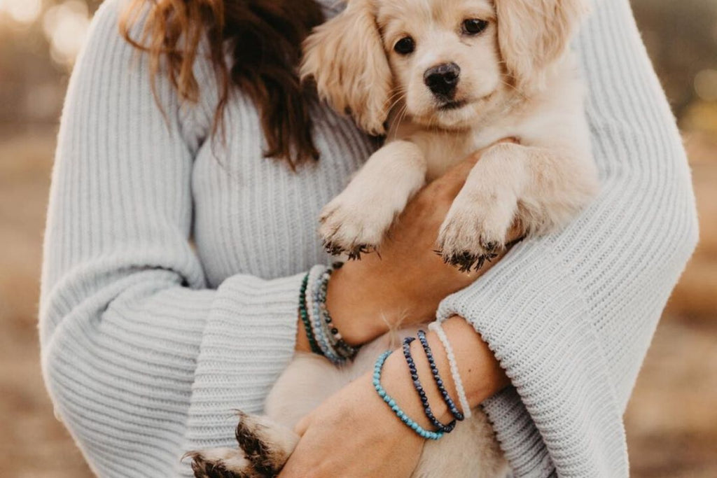 woman holding puppy wearing black tourmaline and other gemstone bracelets