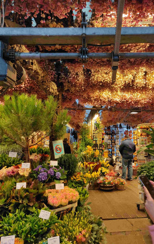 Amazing street in Amsterdam the Flowermarket