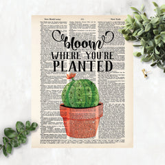 Bloom Where You're Planted with a cactus with a single bloom in a terracotta pot printed on a dictionary page