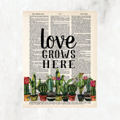 Love grows here printed above a row of potted cactus