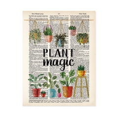 plant magic text with hanging plants above and potted plants below printed n a dictionary page