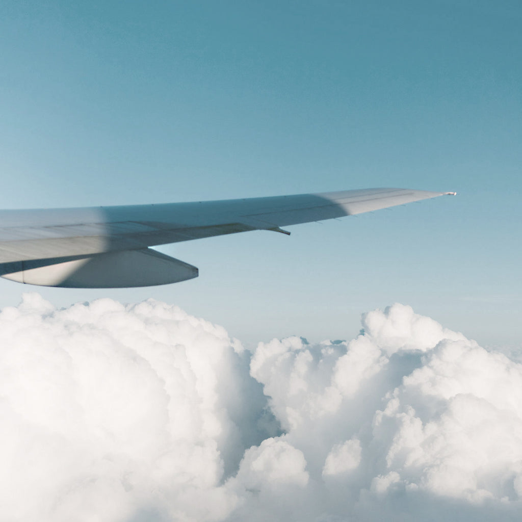 View out the airplane window