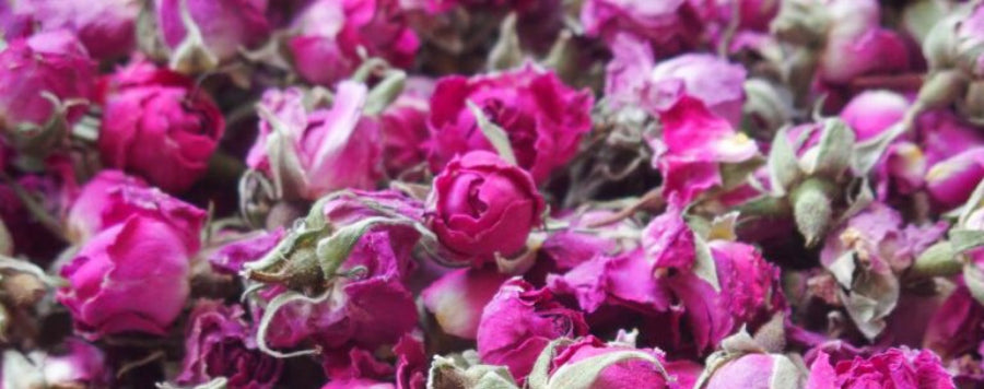 bouquet de rose rose