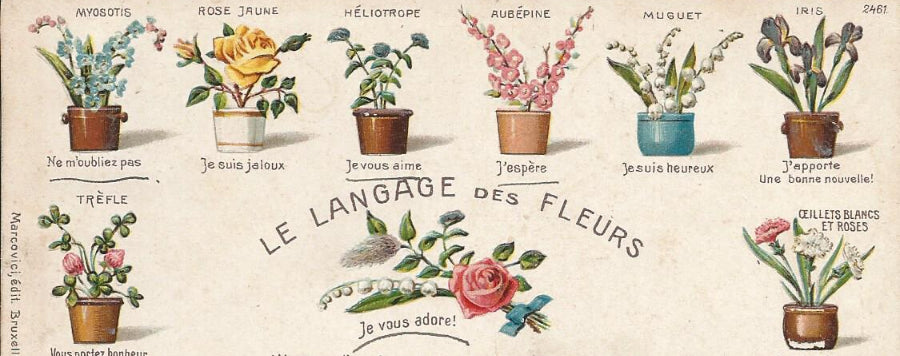 langage des fleurs
