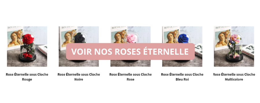 Nos Roses Éternelles