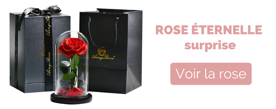 rose eternelle surprise