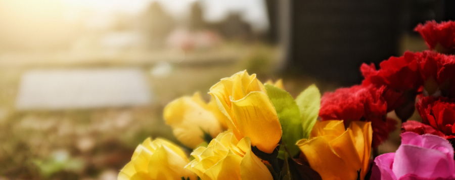 rose jaune enterrement