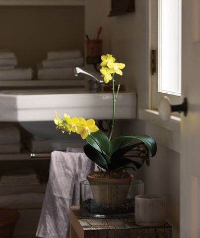 MODERN BATHROOM WITH ORCHID